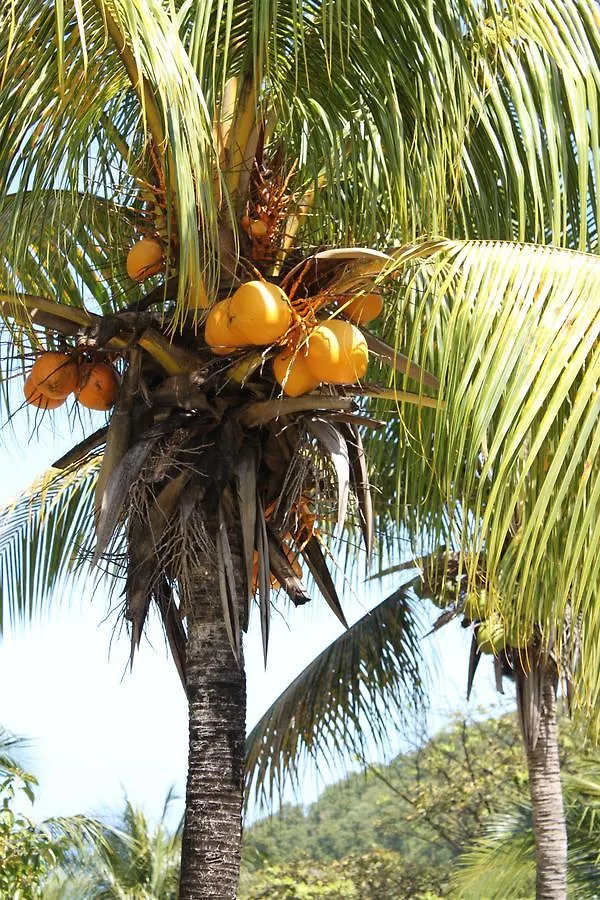 ** Tatil parkı Coeur Caraibes Otel Deshaies Guadeloupe