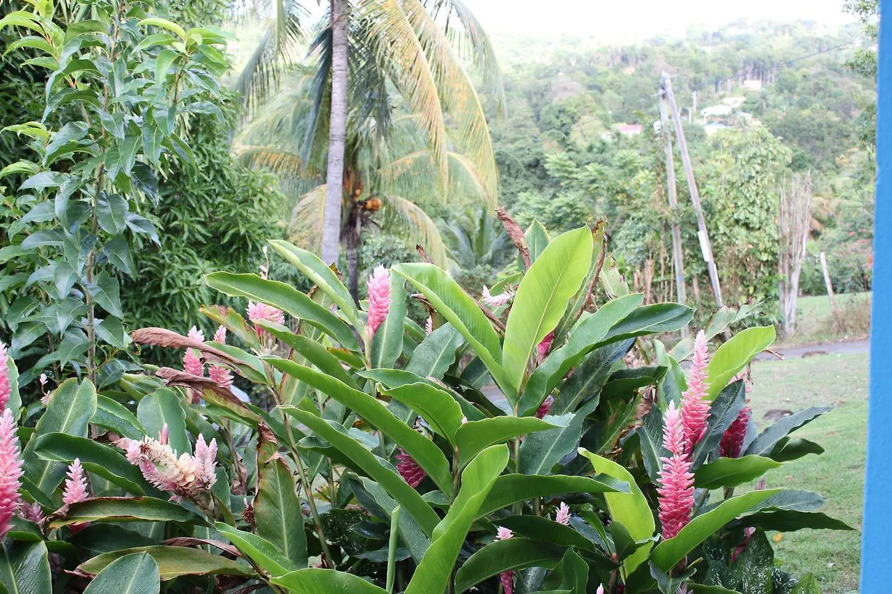 Hotel Coeur Caraibes à Deshaies