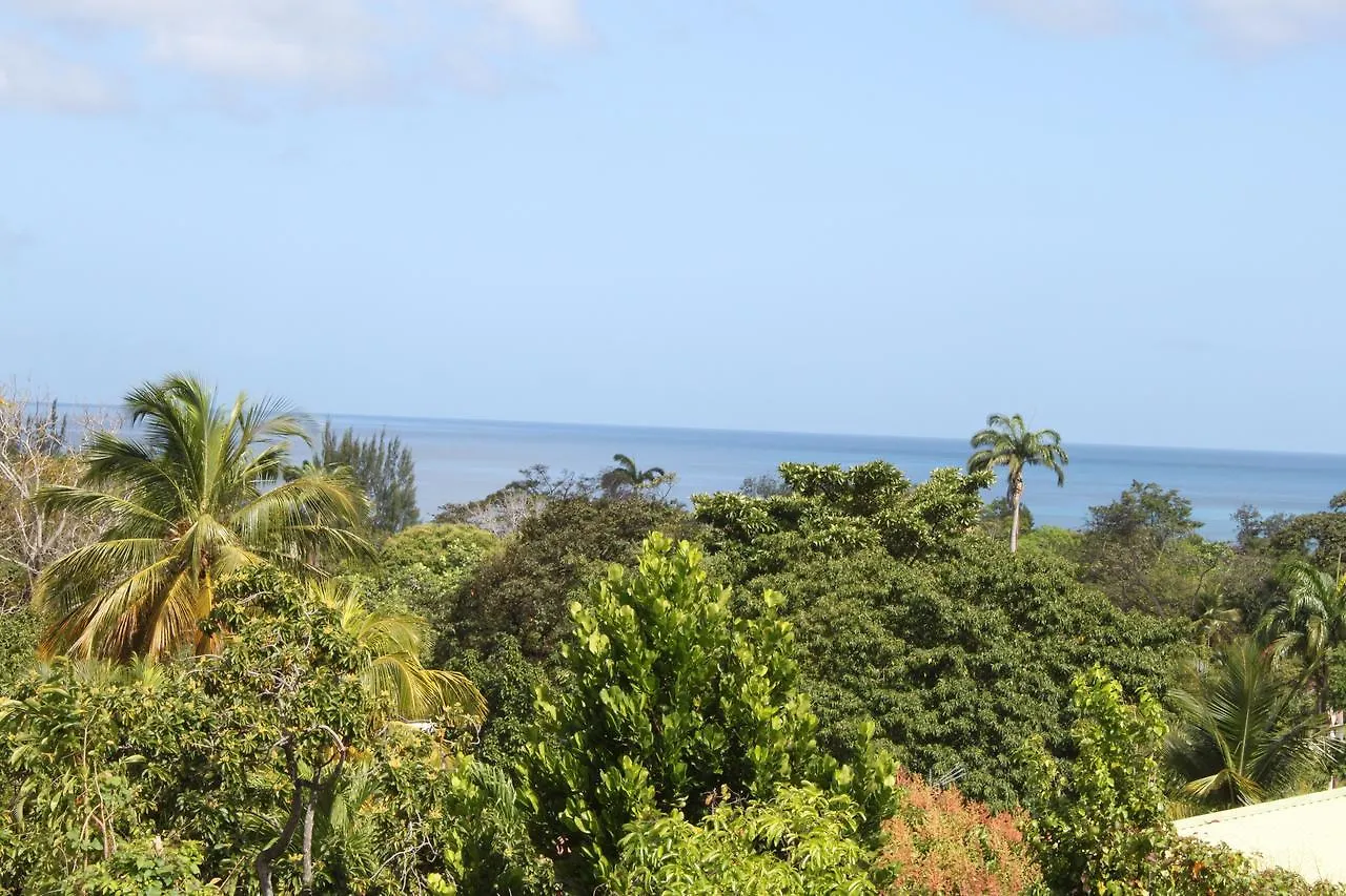 Hotel Coeur Caraibes à Deshaies 2*,