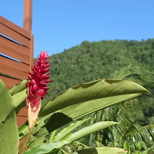 Hébergement de vacances Bougain Fleuri